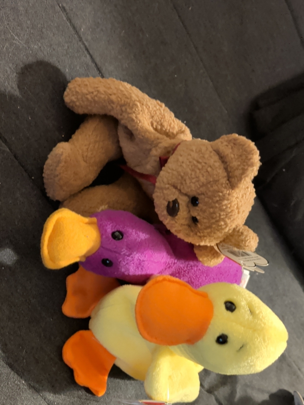 Ty Beanie Babies- Quackers, Patti And Curly, Year 1993